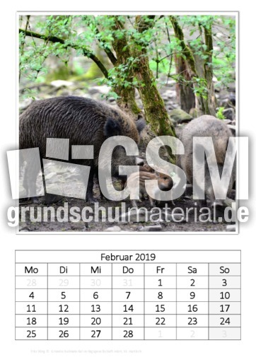 Februar_Frischling.pdf